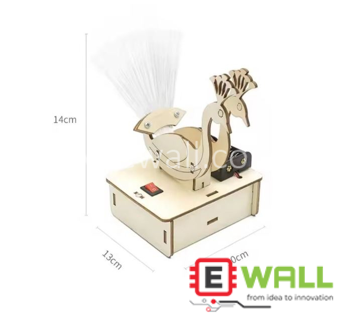 DIY Educational   Peacock Spreads Its Feathers Science Project Model Kit _ For Students Learning Technology
