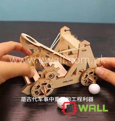 DIY Educational Catapult Lover Science Wooden Model Kit _ Educational STEM Maker Toy for Students