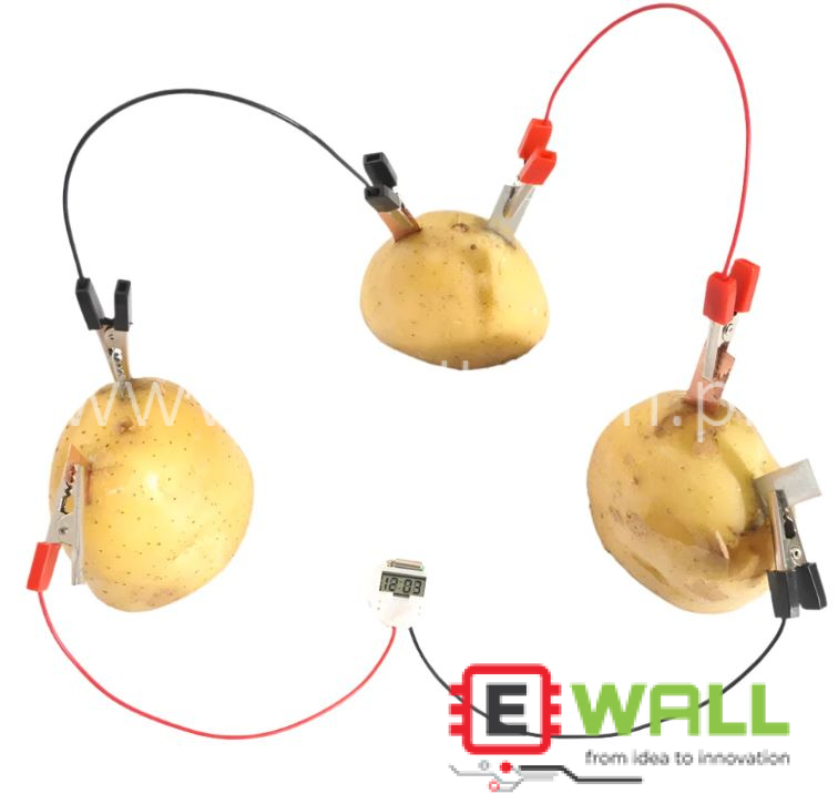 DIY Educational Fruiit Power Generation STEM Science Experiment Learning Kit _ for Students Kids Learning Tool