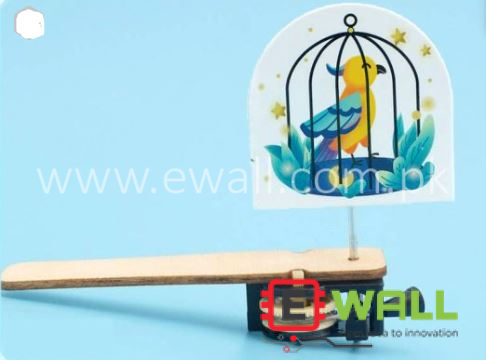 DIY Educational Bird in a Cage STEM Science Learning Creative Building Toy Kit for Kids Fun Project