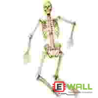 DIY Educational Human Skeleton Model Kit STEM Science Anatomy Learning Toy for Students