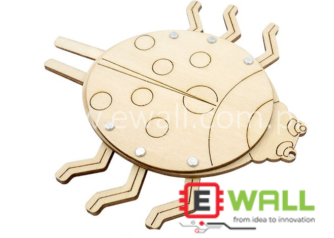 DIY Educational Seven Spotted Ladybug Wooden Model Kit _ STEM Science Learning Toy for Kids